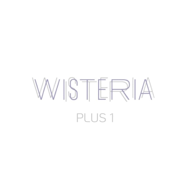 WISTERIA PLUS1 銀座一丁目【ウィステリア プラスワン】