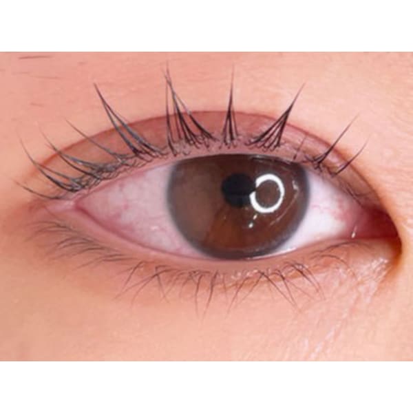 パリジェンヌラッシュリフト　￥5980→￥4980