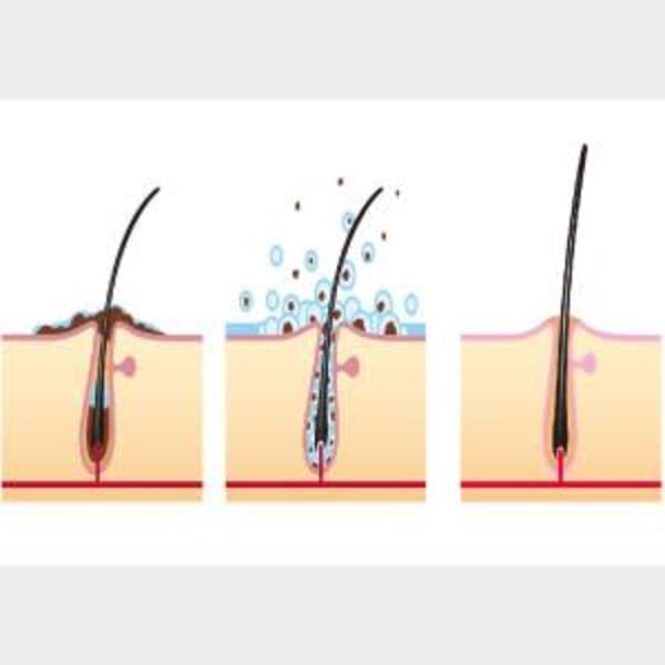 「カット」＋「頭皮ケアコース」＋「眉カット」