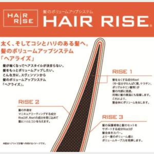 【６週間以内リピート割なし】※カットなし※髪のボリュームアップシステム「ヘアライズ」のみ