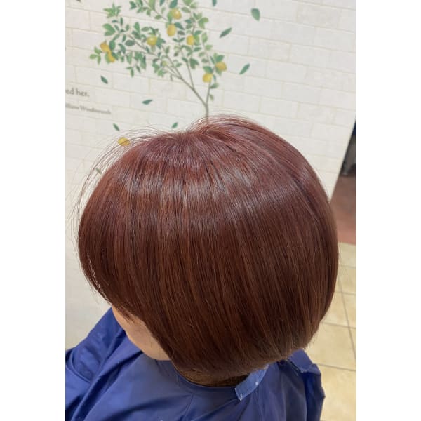 【人気当店No1】カット＋アルカリカラー＋クイックトリートメント