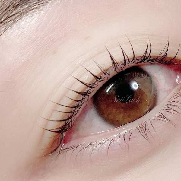 束感コート仕上げ【目元美容液付パリジェンヌラッシュリフトorまつ毛パーマ】