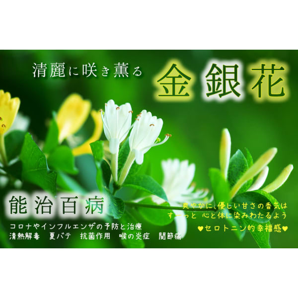 濃密パーツSP 120分★アロマ漢方&ボディケア【甘美な金銀花オイルde幸せ気分】美肌×疲労×夏バテ