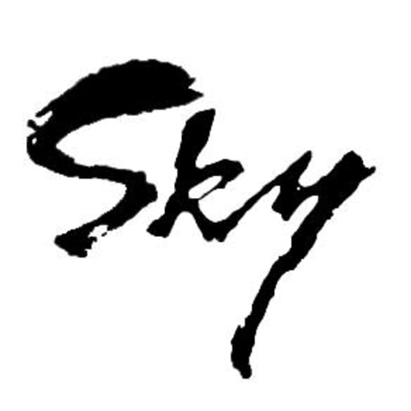 スカイビューレックス赤坂店