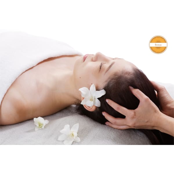 筋膜にアプローチ!乱れたエネルギーバランスを整え、美の力を呼び覚ます【脳内デトックス美肌コース】