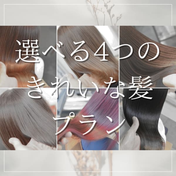 美髪プラン【きれいな髪に仕立てたい】方はケース１～4の中からお選び下さい