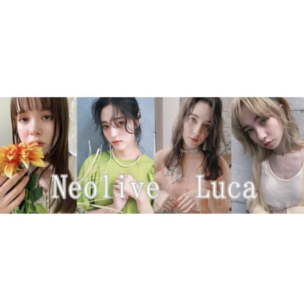 Neolive Luca 御茶ノ水