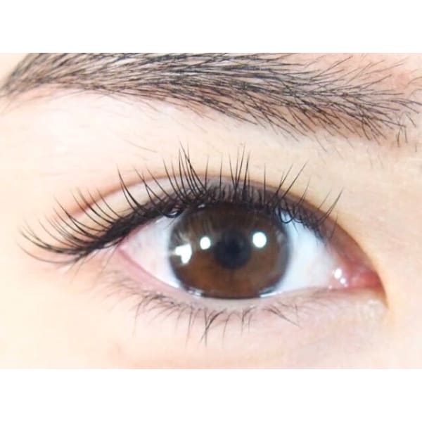 11/30迄【ご新規様★期間限定】セーブルエクステ100本¥3300 ※新規3回迄同価格!詳細店舗で