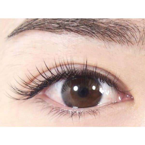 【ご新規様★特別価格!!】セーブルエクステ120本¥3960 ※新規3回迄同価格!詳細店舗で