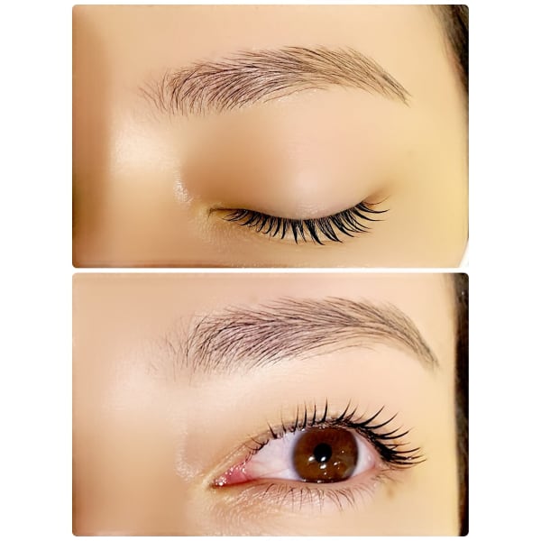 アイブロウワックス＆まつ毛パーマ＋【まつ毛の育毛促進サロン用幹細胞トリートメント付】