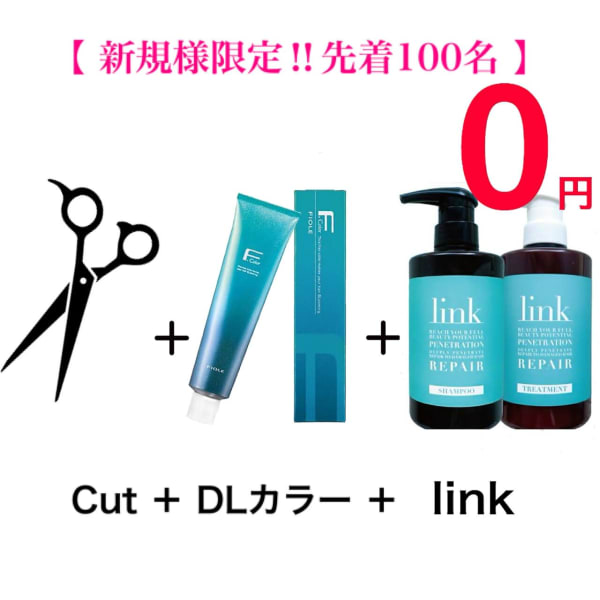 【新規様先着100名限定link無料】カット+カラー+linkトリートメント