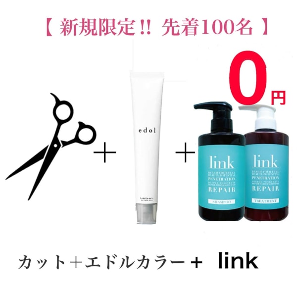 【新規先着100名限定link無料】カット+エドルorN.カラー+linkトリートメント