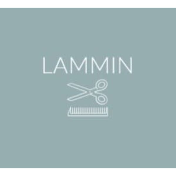 LAMMIN