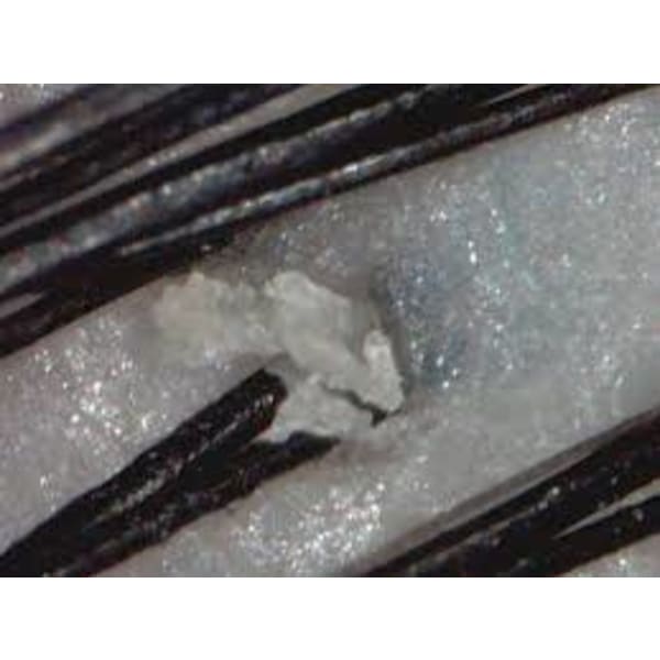 4・【ヘアカット】×【ヘッドスパ】×【シェービング】自信をもって活きる髪の毛が育つ土壌へ・・・