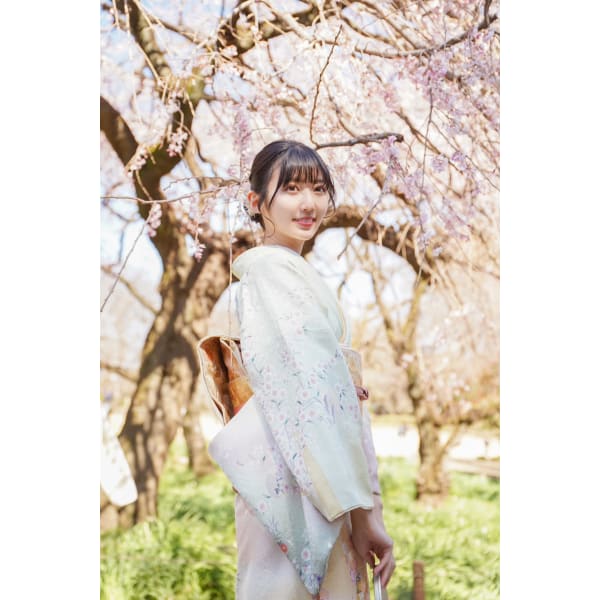 【訪問着 スタンダード☆☆☆】訪問着レンタル+着付け+無料ヘアセット