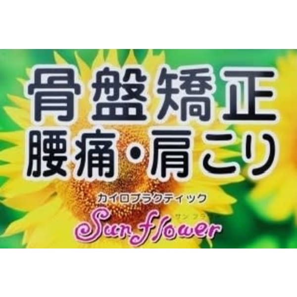 カイロプラクティック Sun flower