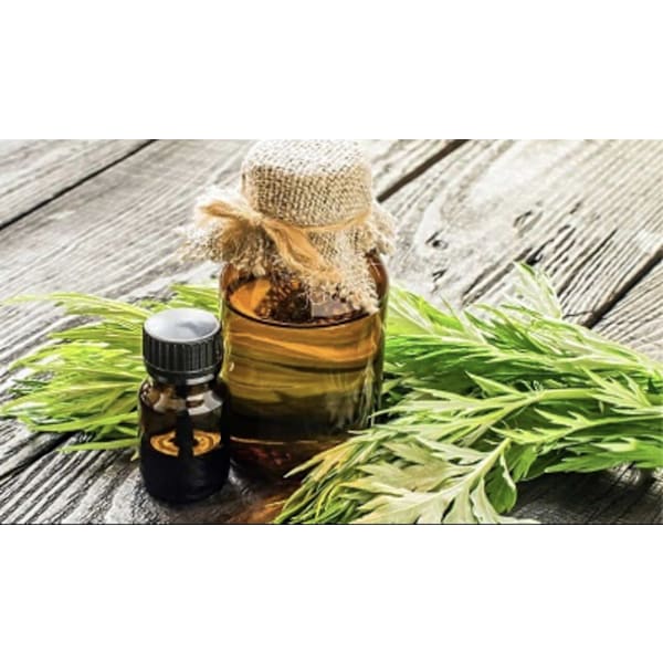 【新規限定 痛気持ちいい!! 】漢方オイル経絡マッサージ+ヘッドスパ 60分 ¥4,500