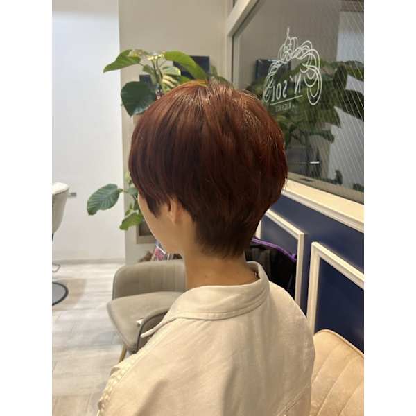 【期間限定】カット＋スプリナージュトリートメント＋マイクロバブル