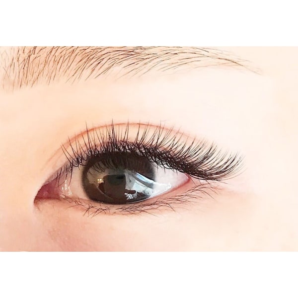 -最高級セーブル100本 オフ込\3900