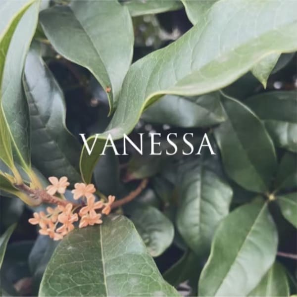 VANESSA