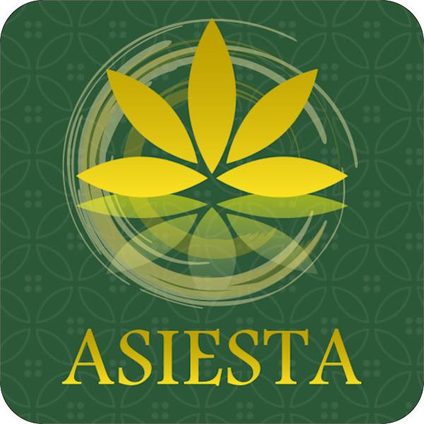 ASIESTA湘南台店