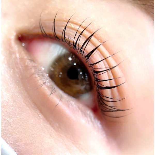 No.2【まつ毛パーマ】ラッシュリフトカール(高濃度美容成分配合)初回¥4400