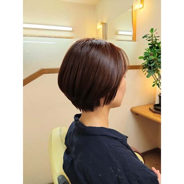 レディースうる艶ノンアルカリカラー