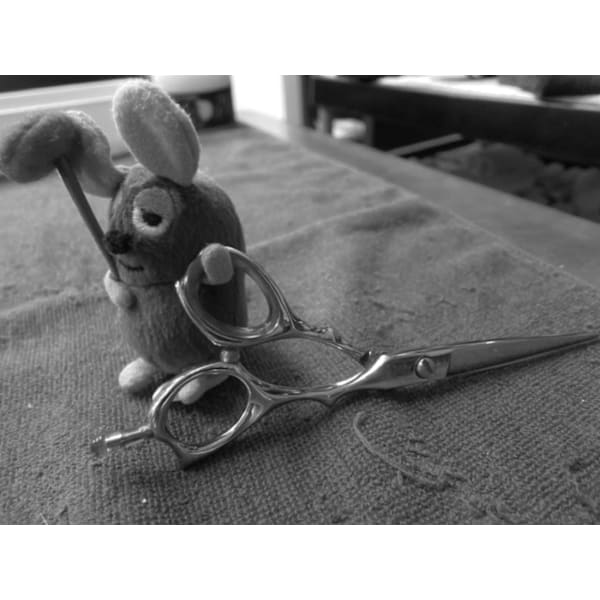 【山形プレミアム】カット＋シャンプー