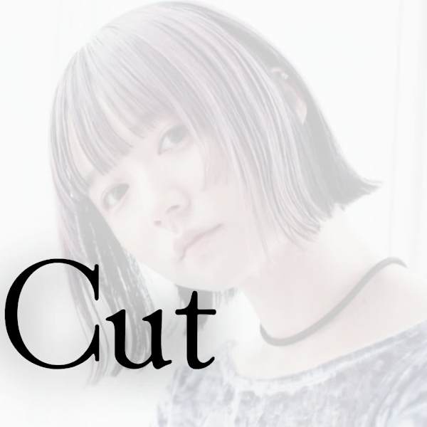 【平日限定】 カット＋シャンプー ￥3,800