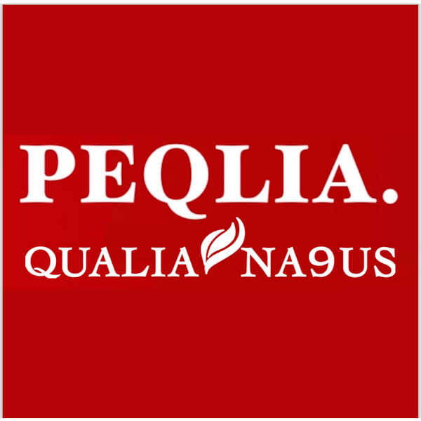 QUALIA NA9US.