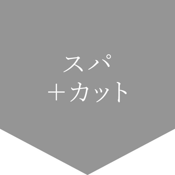 ↓↓ここからヘッドスパメニュー↓↓【押さないでください】
