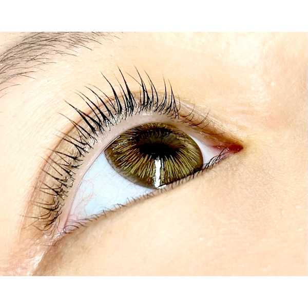 【人気No.1】トリートメント付きラッシュリフト¥6900→ ¥4,500