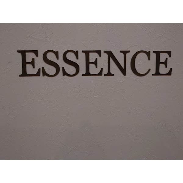 ESSENCE HAIRDESIGN
