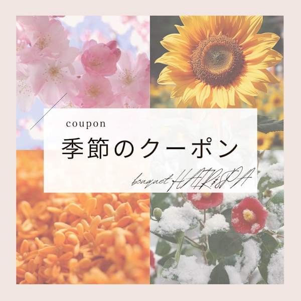 季節割☆カット＋ヘッドスパ