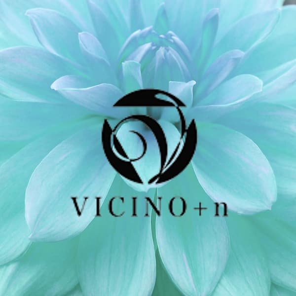 VICINO+n