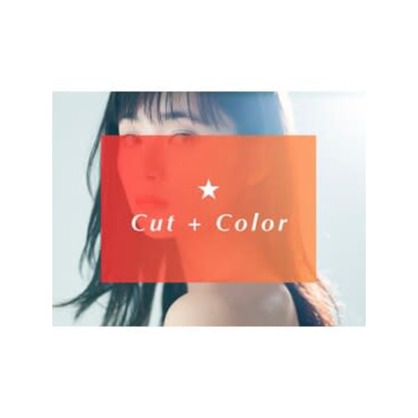 【新規】★No.2★ カット＋カラー＋2stepトリートメント ￥11,000⇒¥9,900