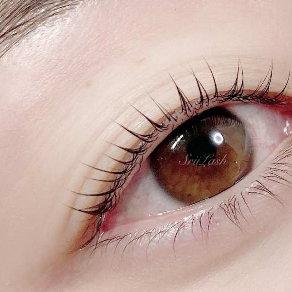 平日限定【目元美容液付パリジェンヌorまつげパーマ】コーティング付☆ 7600円→5400円