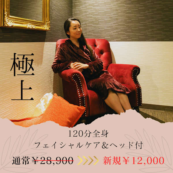 【新規限定】テスラ→全身極上コース×120分28,900円→13,000円　60%off 