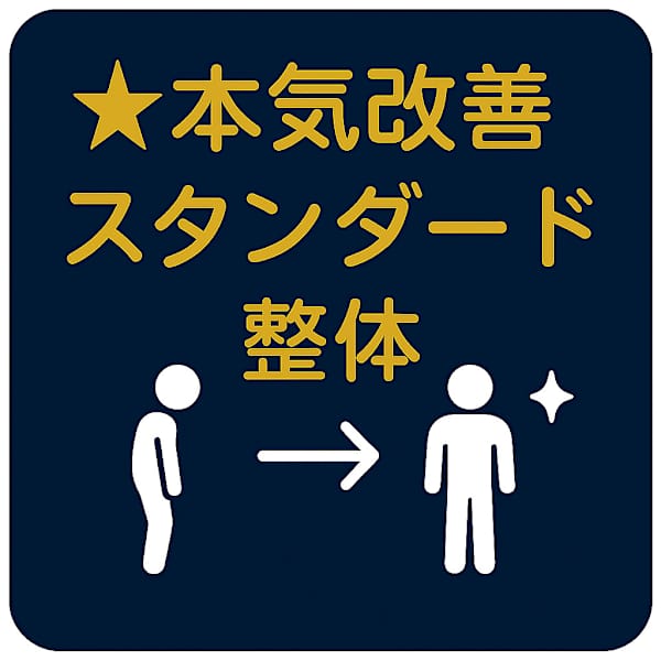 ☆本気改善☆【スタンダード整体】慢性症状を根本から整えたい方へ（約40分）