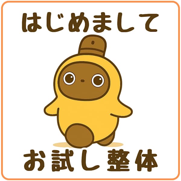 ☆お試し☆【腰痛/肩こり/首痛】初回限定 お試し整体4980円★1日1名様限定