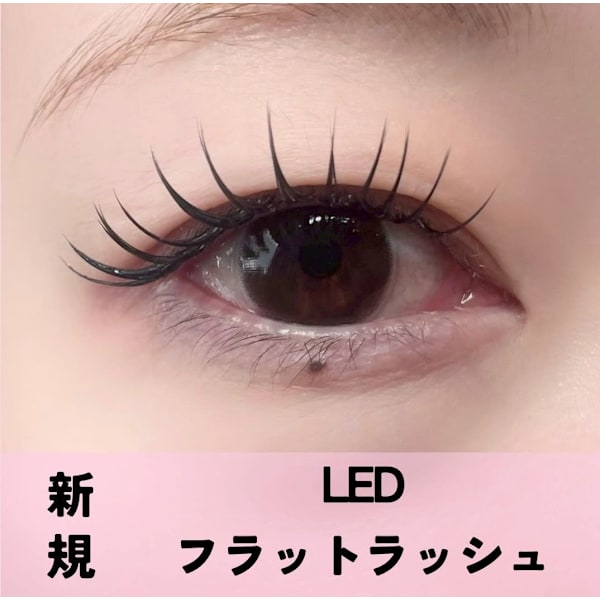 【今月限定★持続力1.5倍】LEDマツエク・フラットラッシュ100本¥6930→¥6500