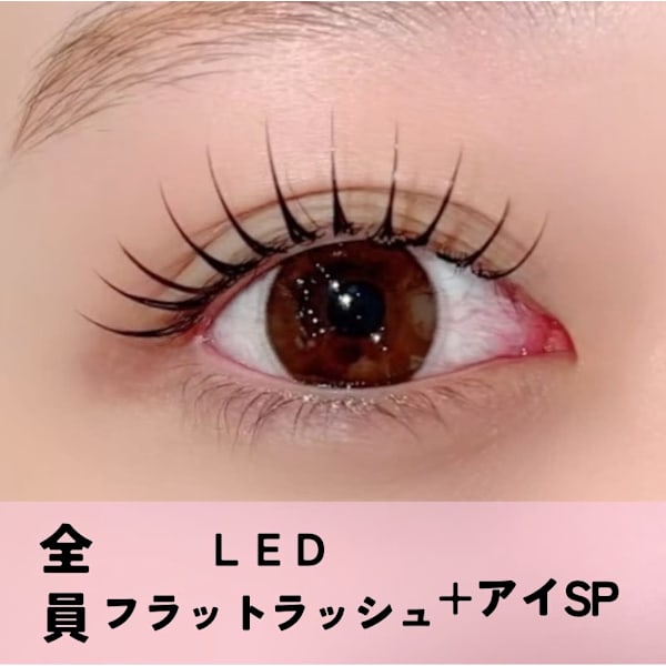 【リニューアル記念★持続力1.5倍】LEDマツエク/フラットラッシュ100本¥6500
