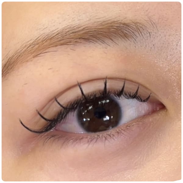 フラットラッシュ120本(ナチュラル仕上げ)