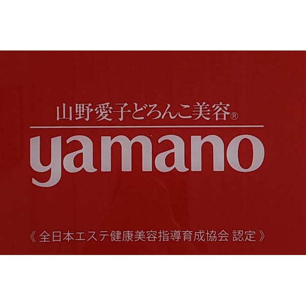 山野愛子どろんこ美容 VISAGE