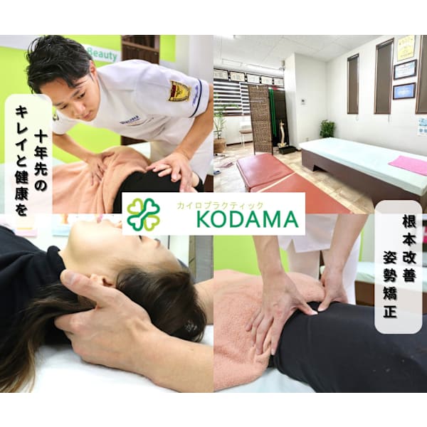 【 人気No.1! 】カイロプラクティック整体+骨盤矯正 3名限定¥4980