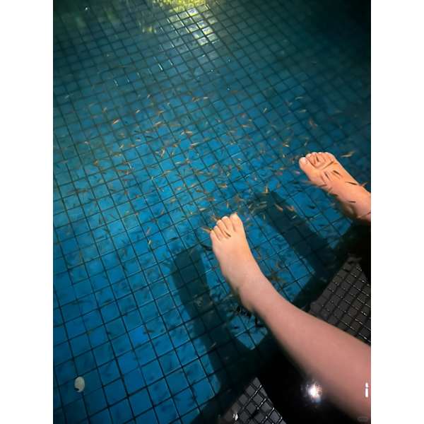 ドクターフィッシュ【Dr.Fish Pedicure】10min