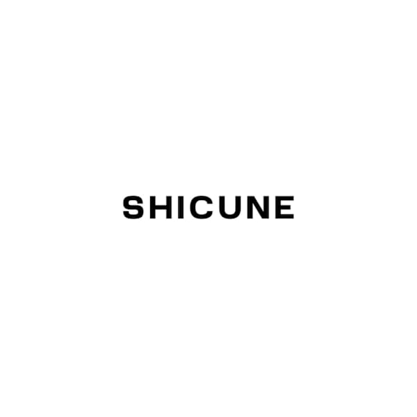 SHICUNE