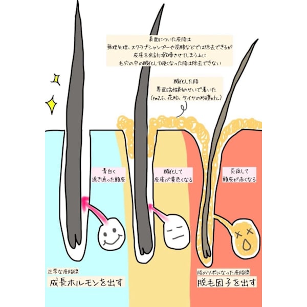 メンズカット+スカルプスペシャルケア