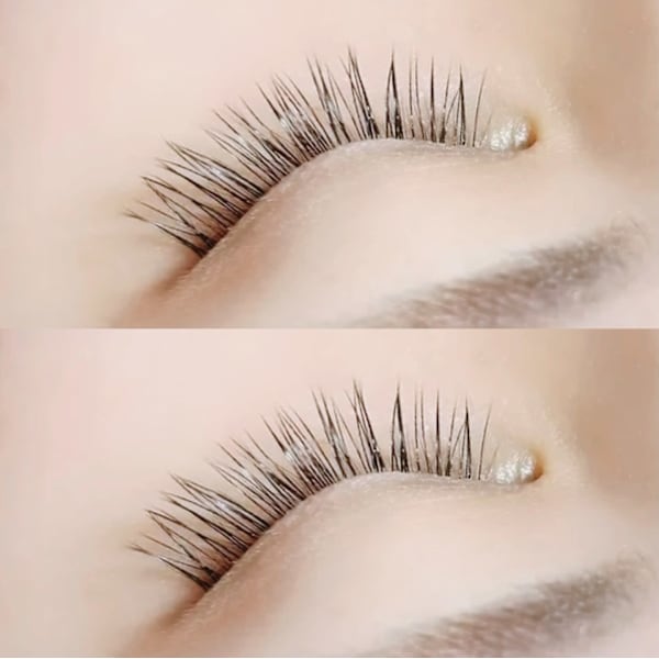 超軽量・高持続 【スーパーフラットラッシュ100本/オフ込】 ¥11,000→￥7,800