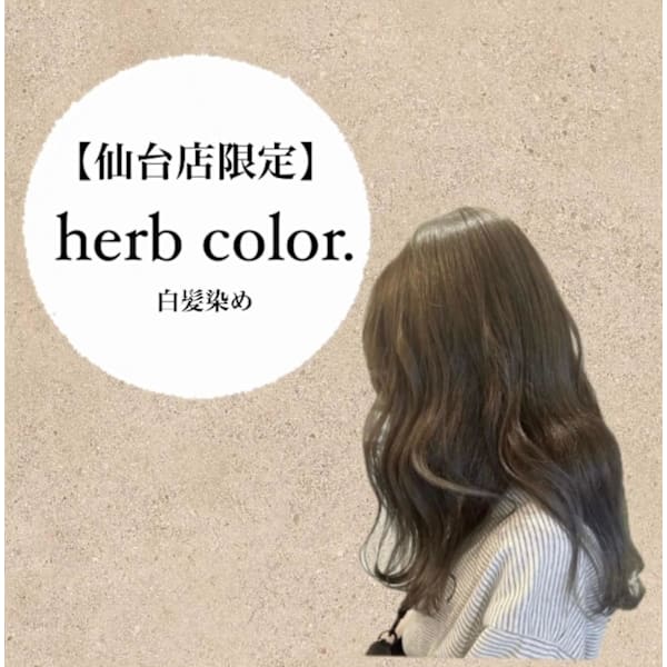 【白髪染め】似合わせカット+天然ハーブ艶カラー(リタッチ) ¥5500